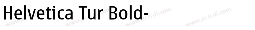 Helvetica Tur Bold字体转换